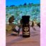 Aromella eucaliptus da 10 ml di Gusto Autentico