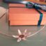 Collezione Floressenza star of Bethlhem di ALMA E'
