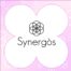 Logo Synargos