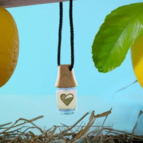 Odorino di limone di Gusto Autentico