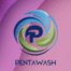 Pentawash Magnificus Dominus Consulting Europe